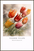 Tender Tulips – Watercolor Botanical Poster