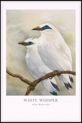 White Whisper – Watercolor Bird Poster